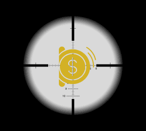 Customizable Parameters