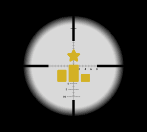 Leaderboards & Teams